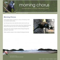 Morning Chorus