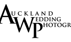 AWP-logo-Transparent-smaller4