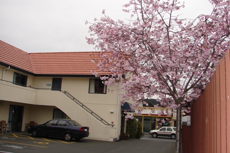Bellavista Motel Accommodation Dunedin